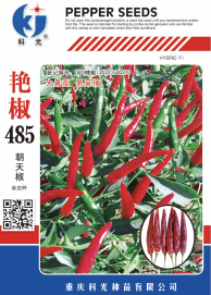 科光种苗“艳椒485”辣椒、“秋实1号”甘蓝分别入选2025年农业主导品种、农作物优良品种推广目录